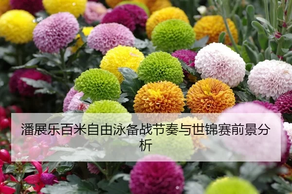 潘展乐百米自由泳备战节奏与世锦赛前景分析