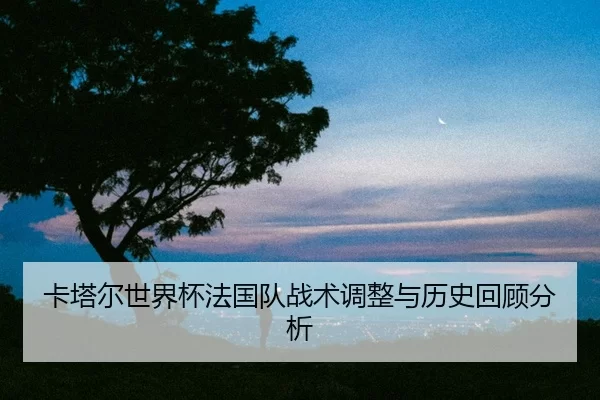 卡塔尔世界杯法国队战术调整与历史回顾分析