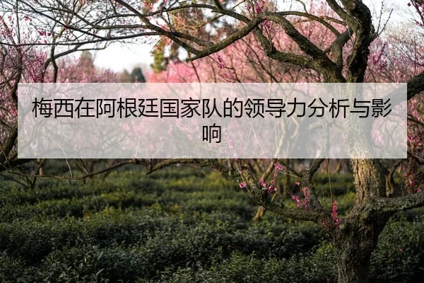 梅西在阿根廷国家队的领导力分析与影响