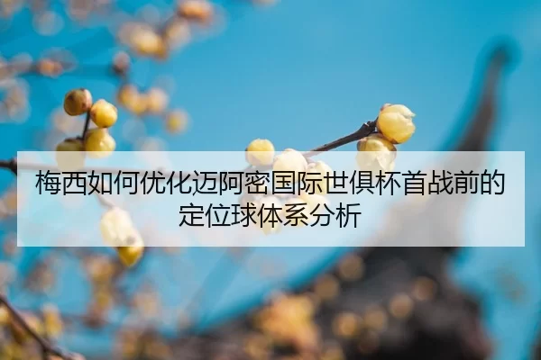 mei-xi-ru-he-you-hua-mai-a-mi-guo-ji-shi-ju-bei-shou-zhan-qian-de-ding-wei-qiu-ti-xi-fen-xi-2-630.jpg