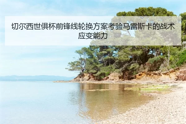 qie-er-xi-shi-ju-bei-qian-feng-xian-lun-huan-fang-an-kao-yan-ma-lei-si-ka-de-zhan-shu-ying-bian-neng-li-2-149.jpg