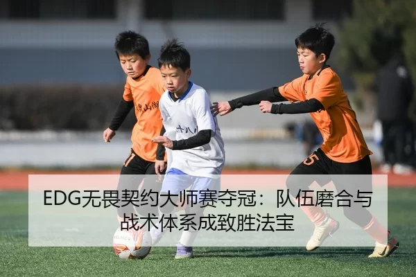 EDG无畏契约大师赛夺冠：队伍磨合与战术体系成致胜法宝