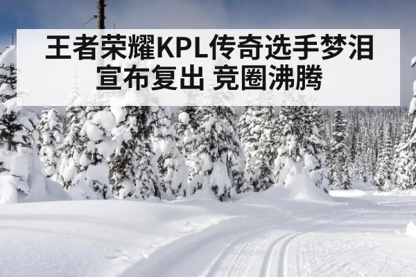 王者荣耀KPL传奇选手梦泪宣布复出 竞圈沸腾